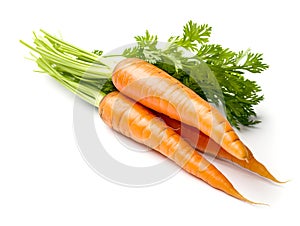 Fresh carrots with green leaves isolated on white background cutout