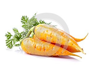 Fresh carrots with green leaves isolated on white background cutout