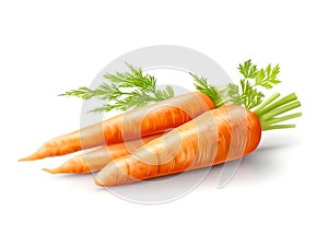 Fresh carrots with green leaves isolated on white background cutout