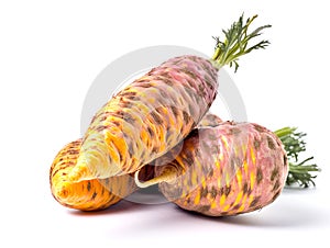 Fresh carrots with green leaves isolated on white background cutout