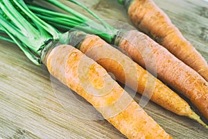 Fresh carrots with green tops on wooden background close-up