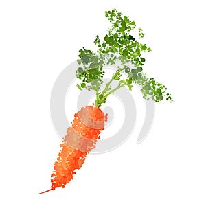 Fresh carrots illustration of blots