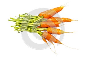 Fresh carrots isolated on white background