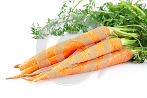 Fresh carrots isolated on white background