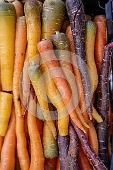 Fresh carrots at market