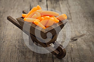 Fresh Carrots in a miniature wheelbarrow