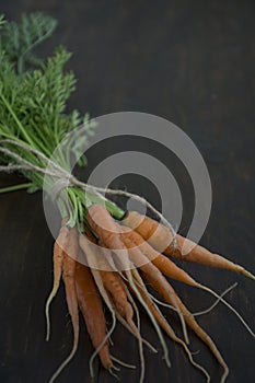Fresh carrots on an old wooden board. Space for text