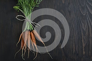 Fresh carrots on an old wooden board. Space for text