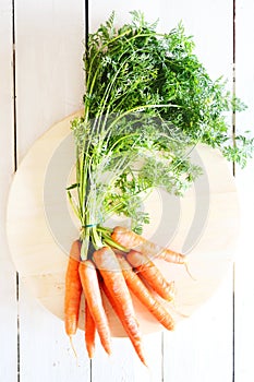 Fresh carrots photo