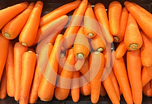 Fresh carrots placed on shelf in the supermarket