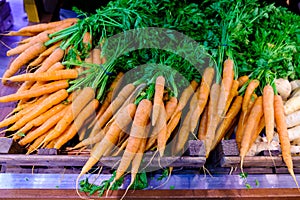 Fresh Carrots for Sale in Farmers Market