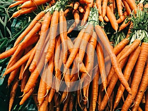 Fresh Carrots For Sale In Vegetable Market