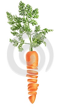 Fresh carrots. Sliced carrot