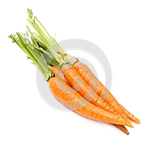 Fresh carrots with stems isolated