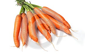 Fresh Carrots on white background