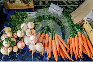 Fresh carrots and white beets at a provencal farmers market in Antibes, France