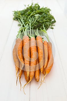 Fresh carrots on white wooden background photo
