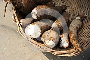 Fresh cassava