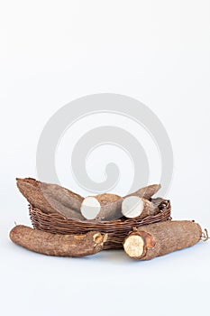 Fresh Cassava root isolated on a white background. Space copy