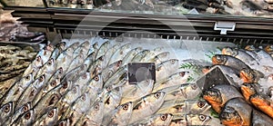 Fresh catch raw fish market showing fresh fish eyes