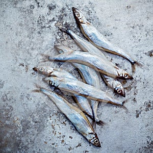 Fresh catch Shishamo fish fully eggs . Shishamo fish is popular