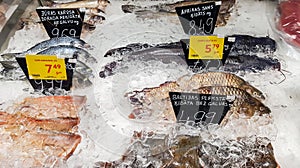 Fresh caught fish for sale on ice seafood booth in supermarket.