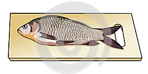 Fresh caught fish on wooden cutting board. Sea fish. River fish. Shoe scales. Preparation of fish. Cookery. Vector.