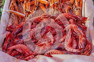 Fresh caught prawn and shrimp in seafood market