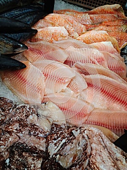 Fresh-caught sea fish on a counter in the fish market