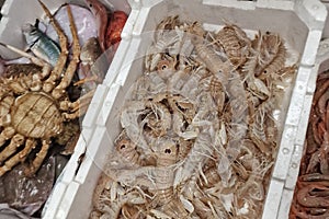 Fresh caught seafood in a box at fish market