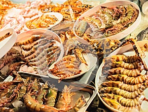 Fresh caught seafood, different types of shrimps