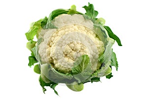 Fresh Cauliflower 3