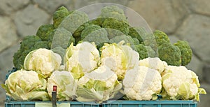 Fresh cauliflower and broccoli on display at the farmers market