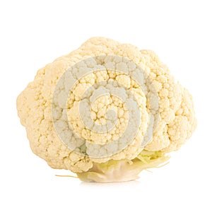 Fresh cauliflower cabbage vegetable on white background