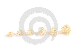 Fresh cauliflower cabbage vegetable on white background