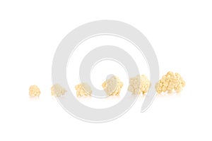 Fresh cauliflower cabbage vegetable on white background