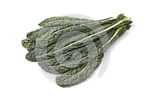 Fresh Cavolo Nero leaves