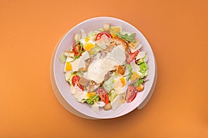 Fresh ceasar salad with vegetables on a color background