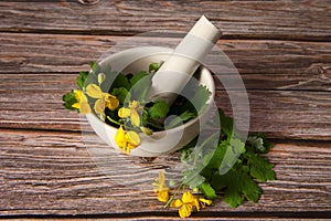 Fresh celandine with leaves and flowers in a porcelain mortar with a pestle close-up on a wooden background.