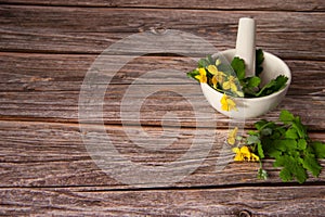 Fresh celandine with leaves and flowers in a porcelain mortar with a pestle on a wooden background.