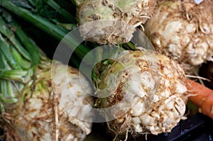 Fresh celeriac