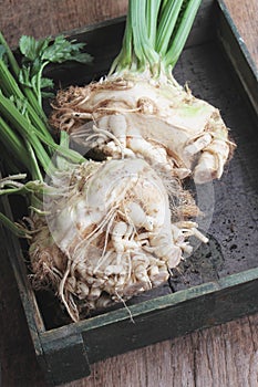 Fresh celeriac