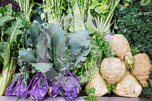 Fresh Celeriac