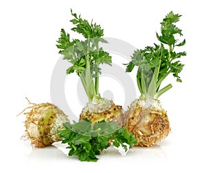 Fresh celeriac root with celery stalks isolated