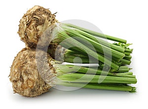 Fresh celeriac root with celery stalks isolated