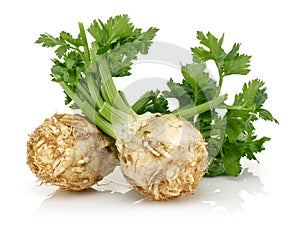 Fresh celeriac root with celery stalks isolated