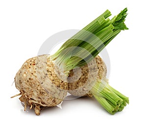 Fresh celeriac on white background