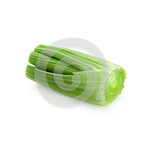 fresh celery isolated over a white background