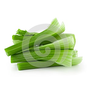 fresh celery isolated over a white background