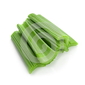 fresh celery isolated over a white background